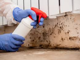 Reliable Ironton, OH Mold Removal & Remediation Solutions